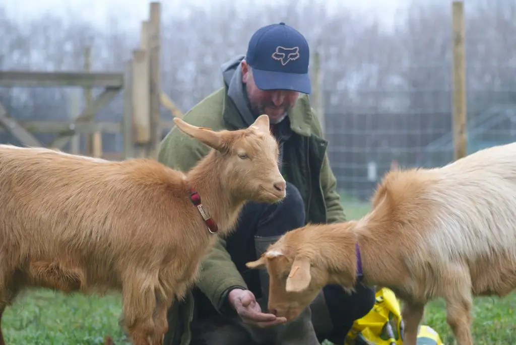 The Austin family with their goats on the farm