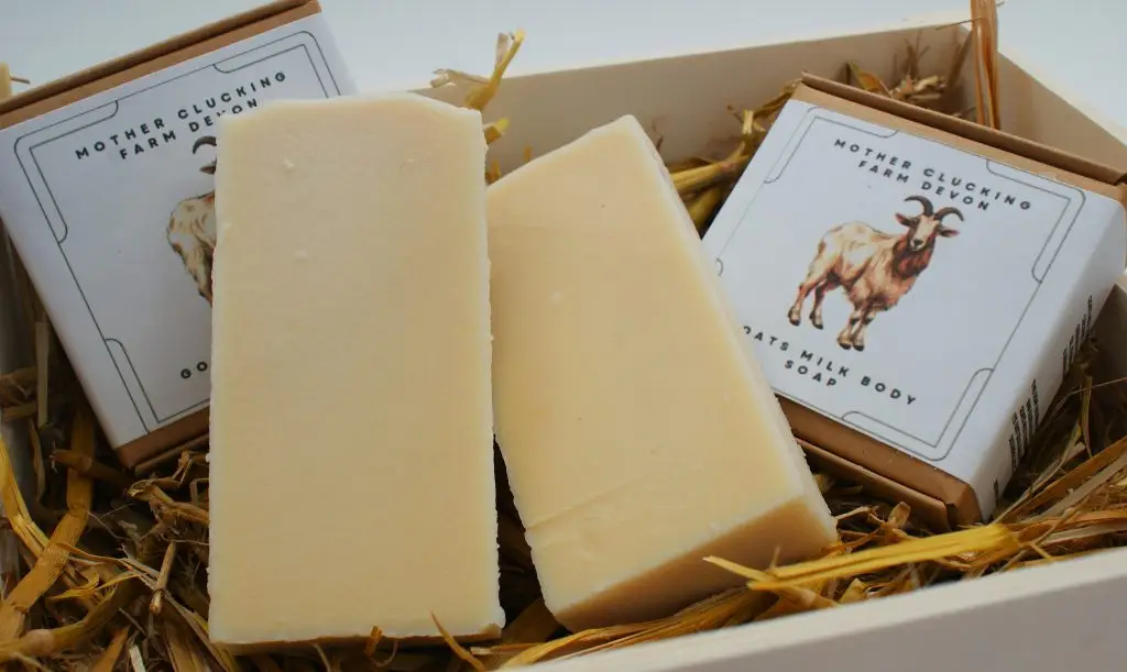 plain goats milk soap