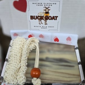 head over hooves mini valentines box