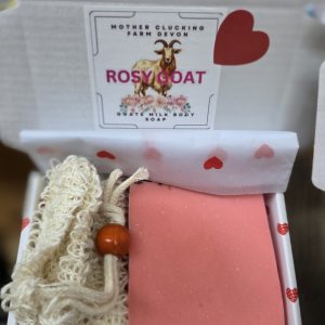 head over hooves mini valentines box