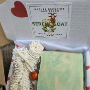 head over hooves mini valentines box