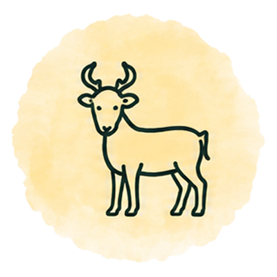 Mother Clucking Farm - Handcrafted Goat Milk Skincare