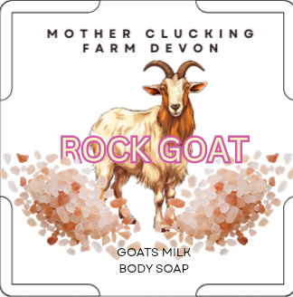 Rock Goat - Image 3