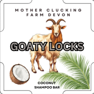 coconut shampoo